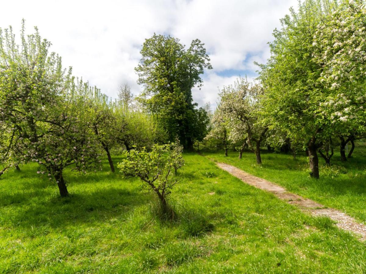 Gartenbungalow 2 Rechte Seite Klein Pravtshagen Εξωτερικό φωτογραφία