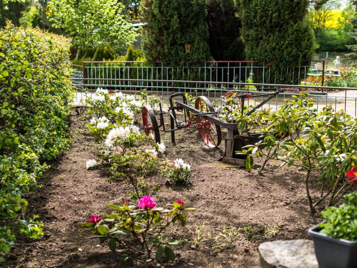 Gartenbungalow 2 Rechte Seite Klein Pravtshagen Δωμάτιο φωτογραφία