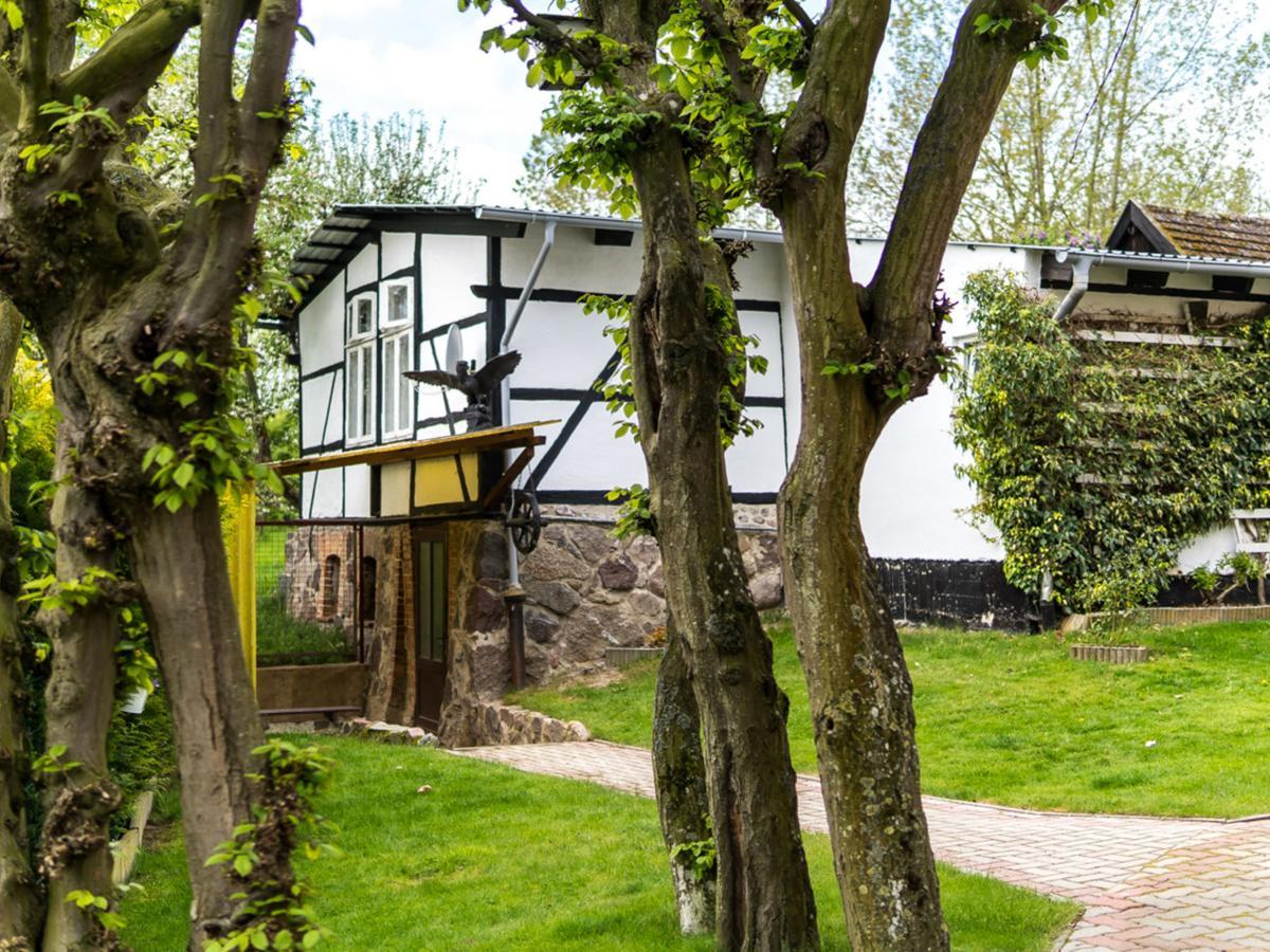 Gartenbungalow 2 Rechte Seite Klein Pravtshagen Εξωτερικό φωτογραφία